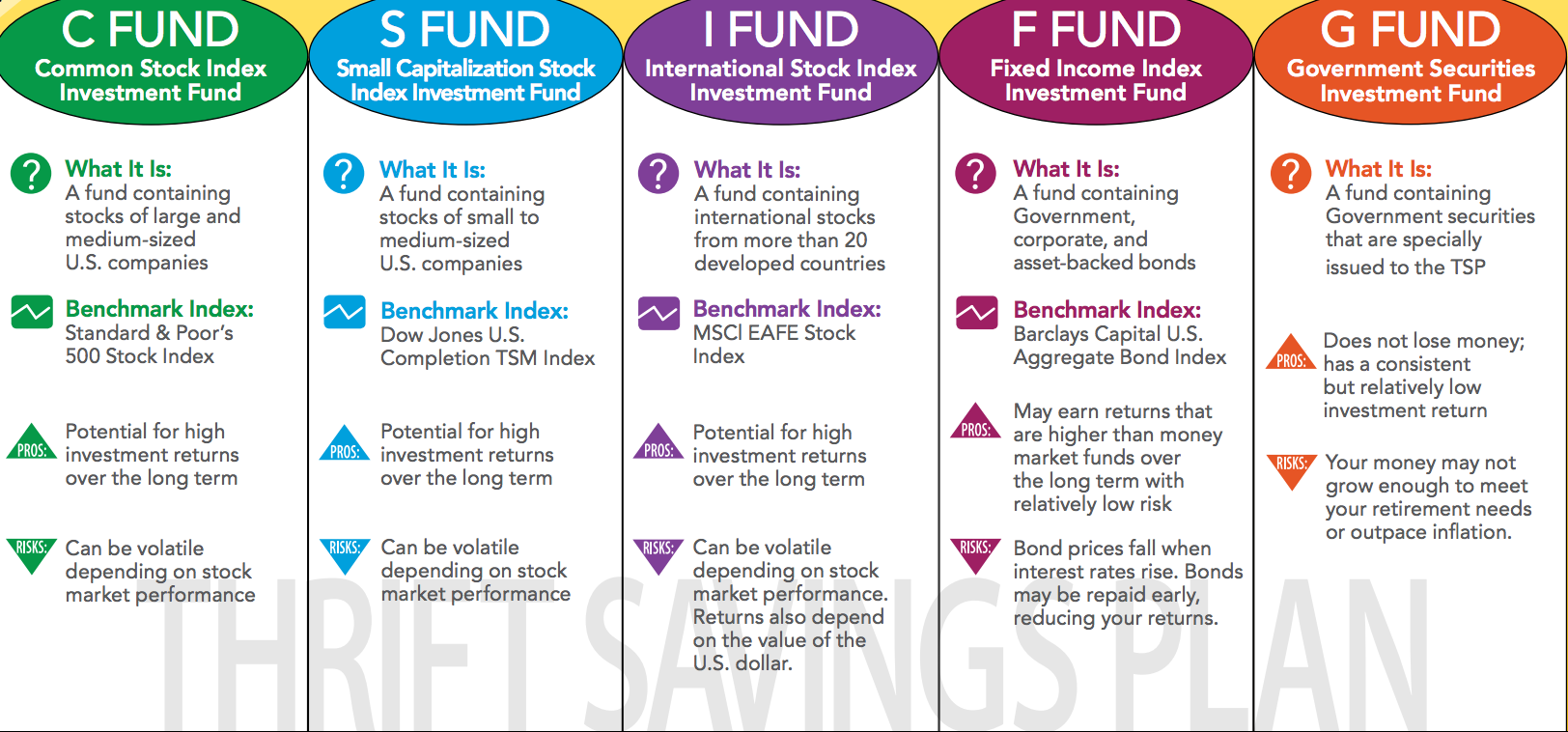 tsp what fund to invest